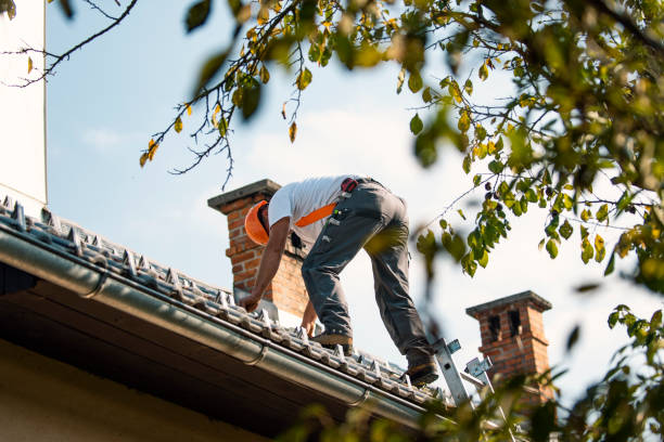 Best Roof Maintenance Services  in Nooksack, WA